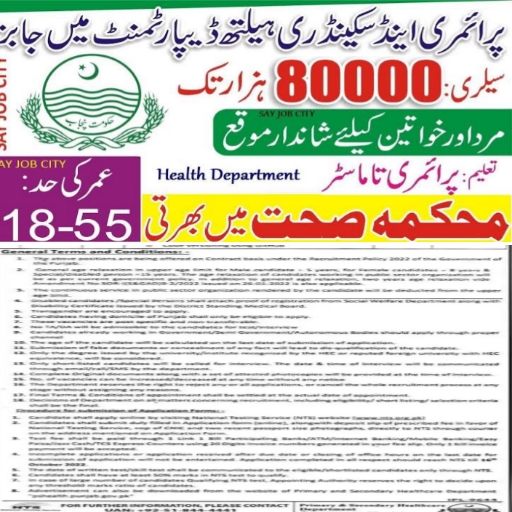 Primary & Secondary Healthcare Department Punjab Jobs 2022 | Primary & Secondary Healthcare Department Jobs October 2022