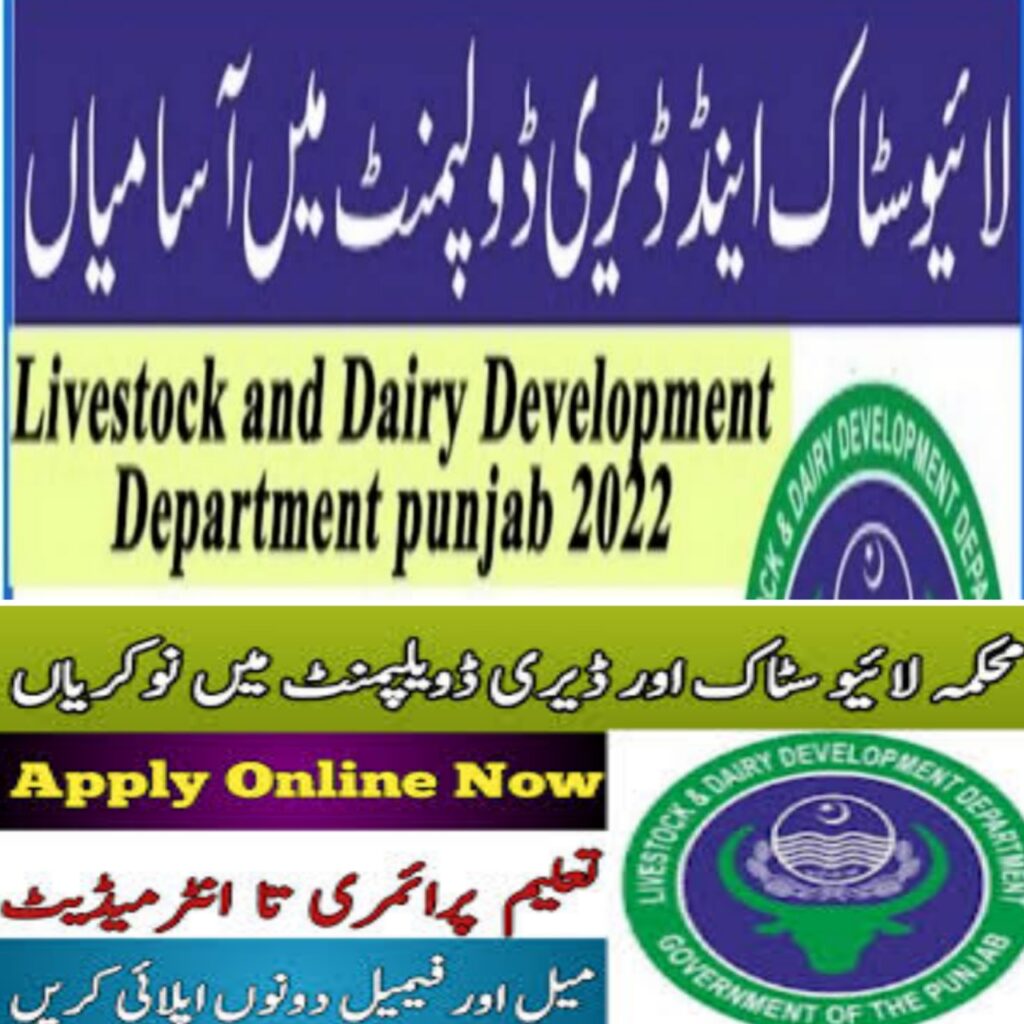 Livestock and Dairy Development Punjab Jobs 2022 Application Form Download