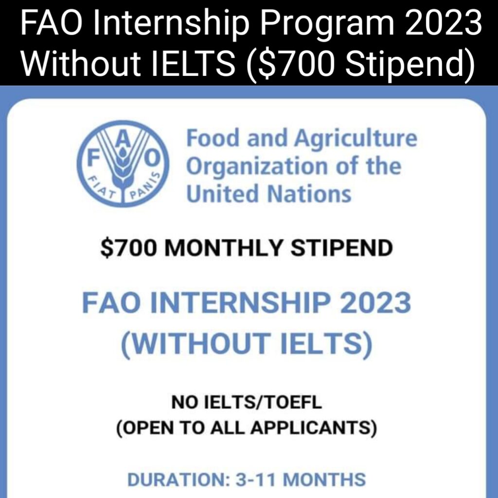 FAO Internship Program 2023