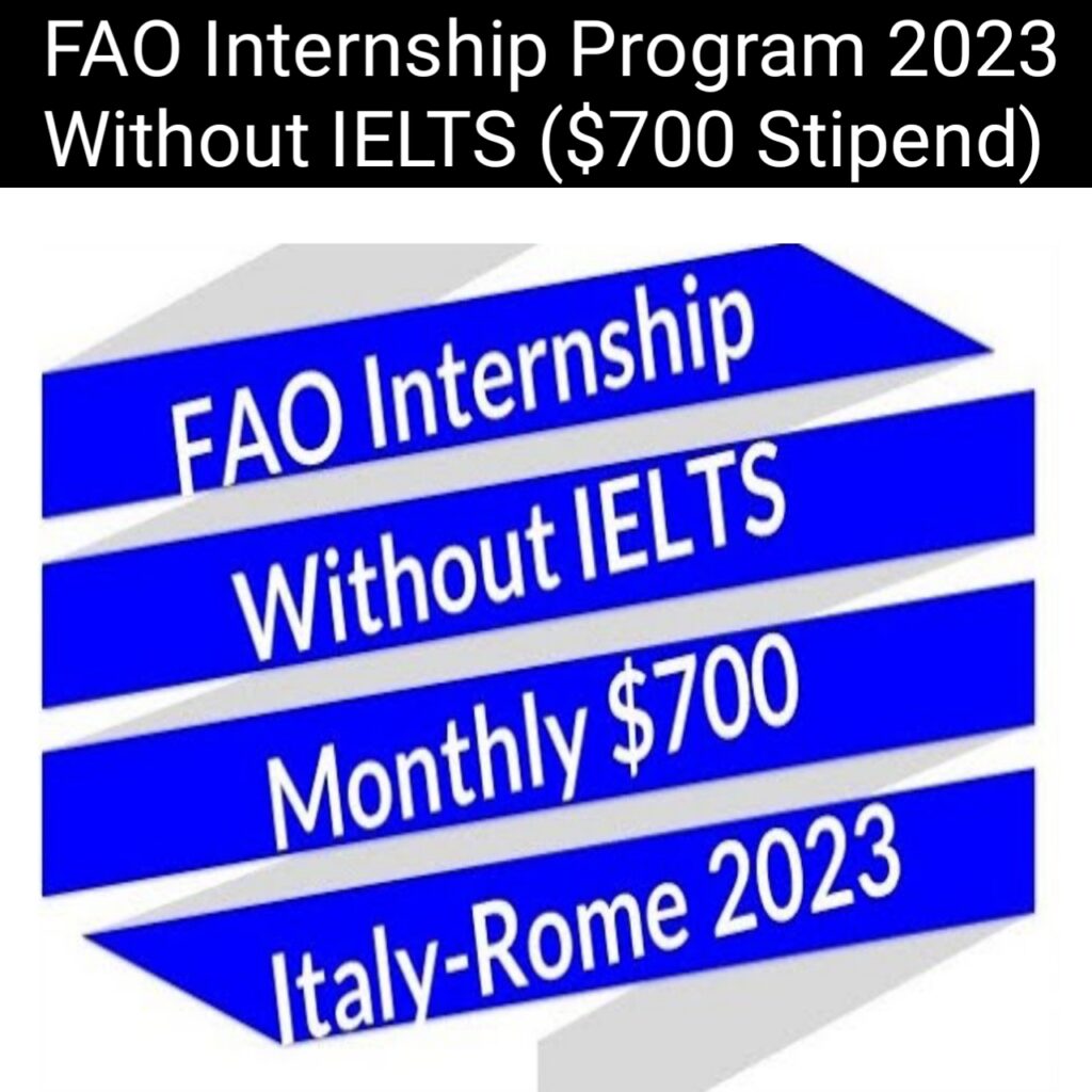 FAO Internship Program 2023