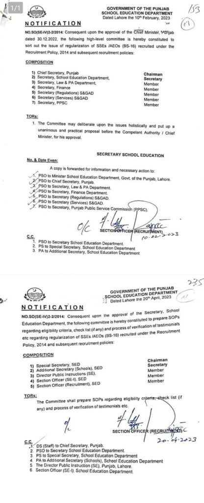 High Level Committee Is Constituted Regarding Regularization Of SSEs/AEOs (BS-16)