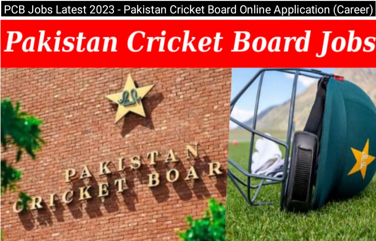 PCB Jobs Latest 2023 - Pakistan Cricket Board Online Application (Career)