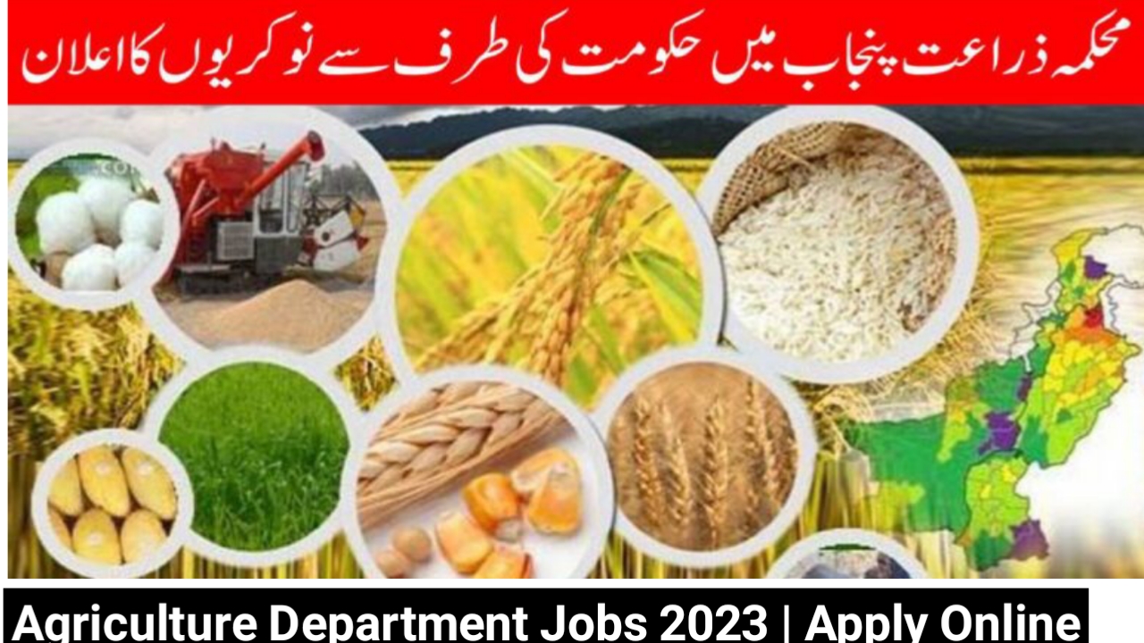 Agriculture Department Jobs 2023 | Apply Online