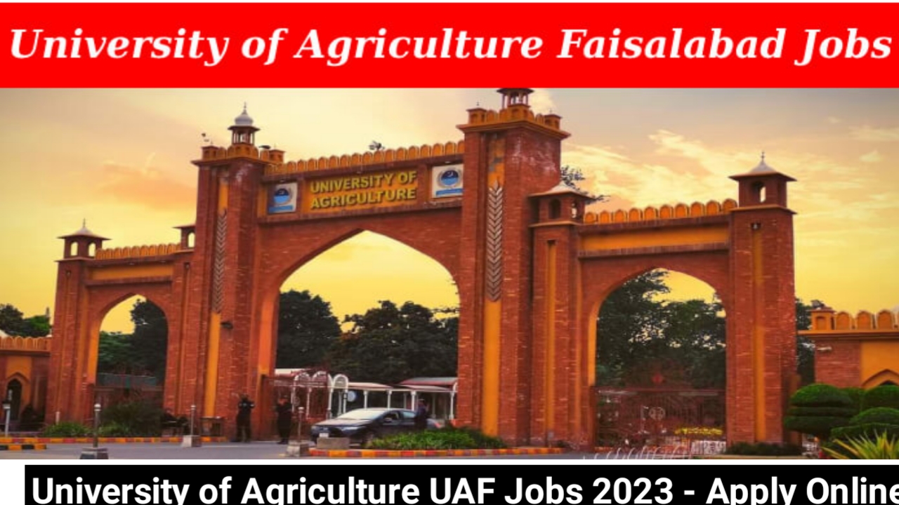 University of Agriculture UAF Jobs 2023 - Apply Online