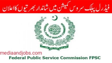 FPSC Jobs 2024 Advertisement No. 02 (Apply Online)