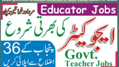Punjab Government Announces Recruitment of 30,000 Visiting Teachers for Schools