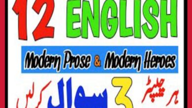 2nd Year English Guess Paper 2024 Punjab Board - FSc English Guess Papers