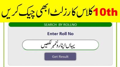 Comprehensive Guide to 10th Class Result 2024: All Punjab Boards Matric Result Updates