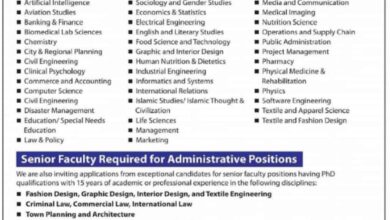 Multiple Opportunities in UMT for PhDs and MPhil Candidates
