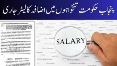 Punjab Government Fixes Wages for Employees