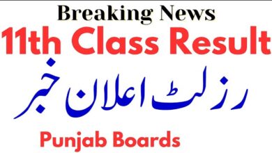1st Year Result all Punjab 2024
