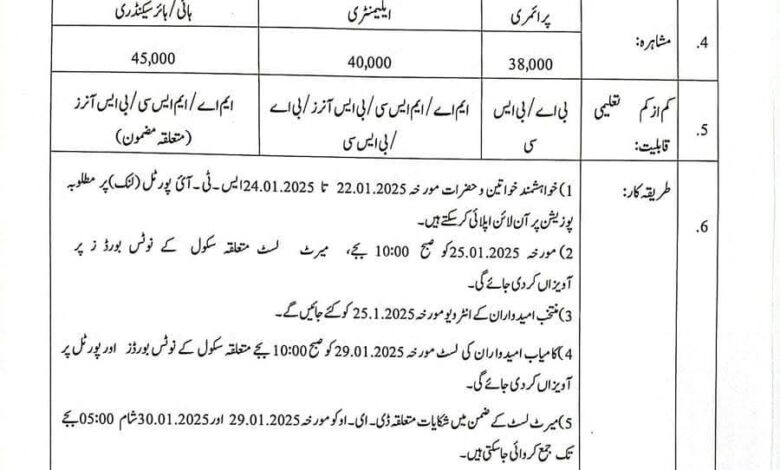 12,500 STI Jobs Advertisement 2025 | Punjab Government | 38,000-45,000 Monthly Salary