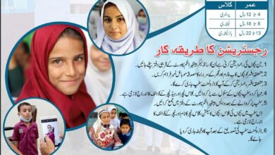 Banzeer Education Scholarship