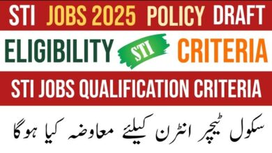 STI Schools Teaching Internship Punjab 2025: Check Eligibility Criteria