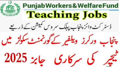 (STIs) Recruitment for School Teacher Interns by Punjab Workers Welfare Schools – February 2025