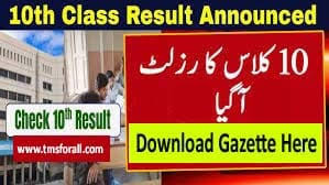 10th Class Results Gazette 2025 | Download All Punjab Boards Matric Gazettes