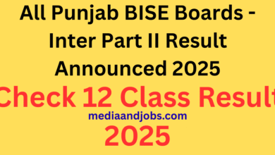 All Punjab BISE Boards - Inter Part II Result Announced 2025