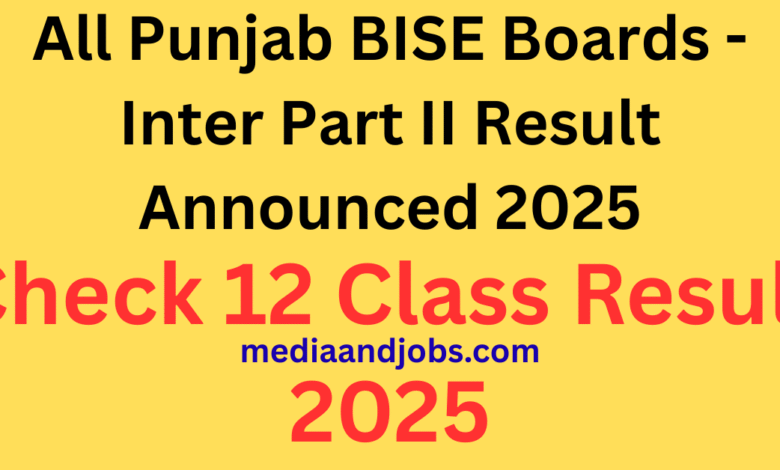 All Punjab BISE Boards - Inter Part II Result Announced 2025