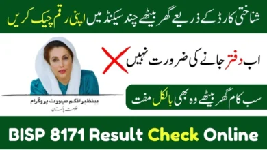 Result Check Online by CNIC BISP 8171 – Check Phase 2 Payment Status