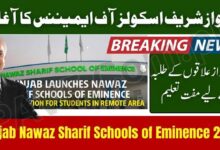Nawaz Sharif Schools of Eminence (NSSE) 2025