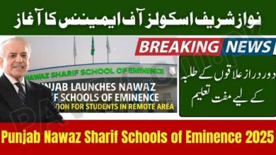 Nawaz Sharif Schools of Eminence (NSSE) 2025