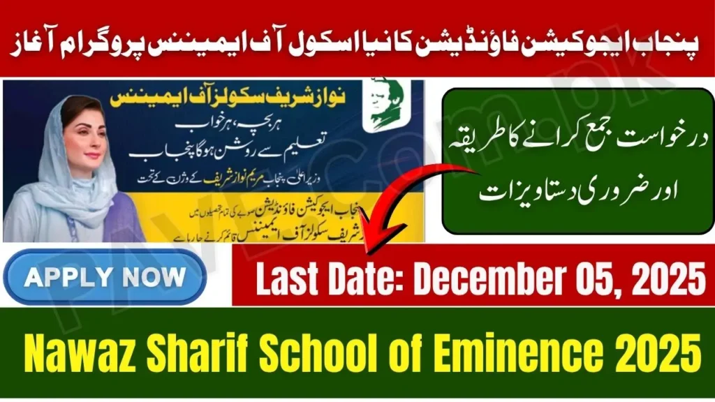 Nawaz Sharif Schools of Eminence (NSSE) 2025