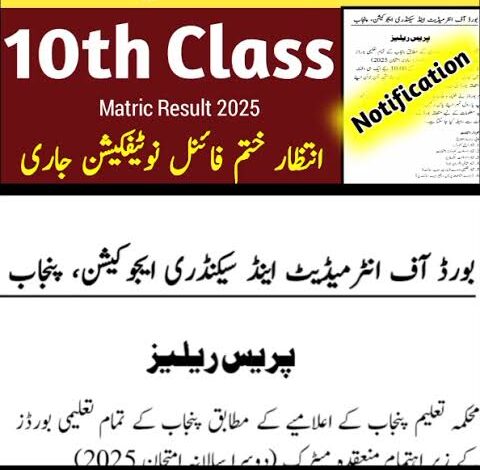 Matric Supplementary Result 2025 - Check Online on 20 November