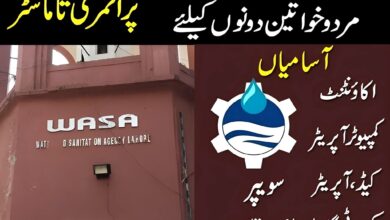 (WASA) Water And Sanitation Agency Jobs 2025