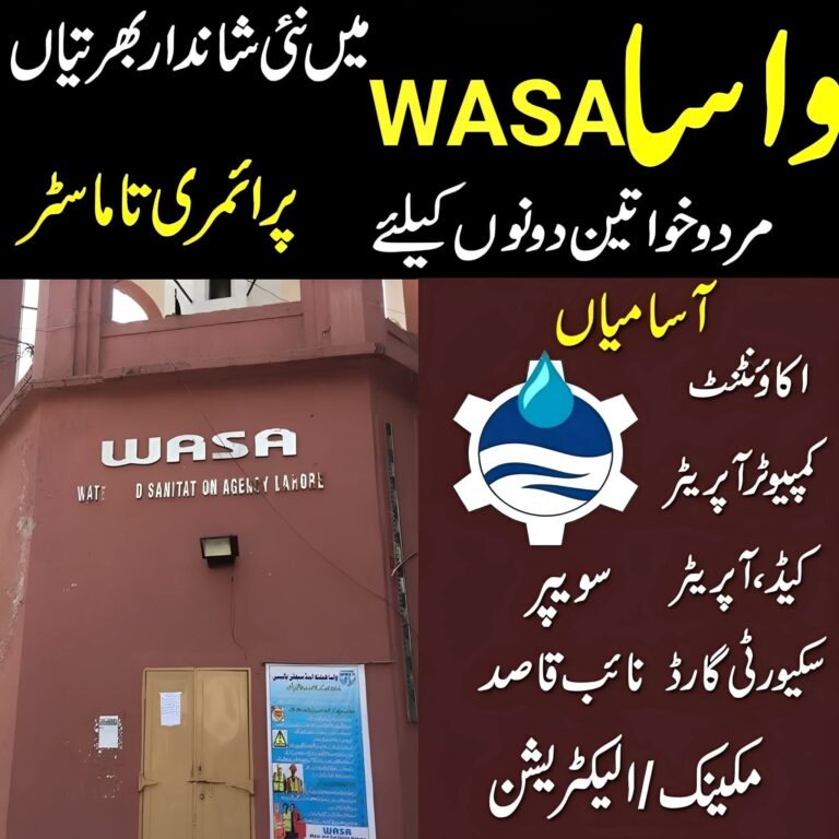 (WASA) Water And Sanitation Agency Jobs 2025