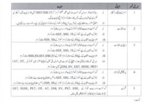 Punjab Educators Induction 2026 Bahawalpur Board – Apply Before 15 January 2026
