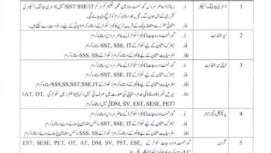 Punjab Educators Induction 2026 Bahawalpur Board – Apply Before 15 January 2026