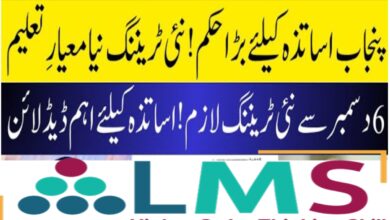 HOTS Training Punjab 2025: Free Online Higher Order Thinking Skills Program for Primary School Teachers – Enroll Now Before Dec 6 Deadline