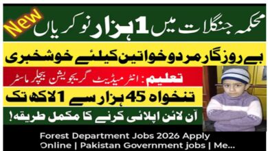 Punjab Forest Department Jobs 2026 Apply Now