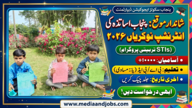 Punjab (STIs) Teacher Internship April 2026