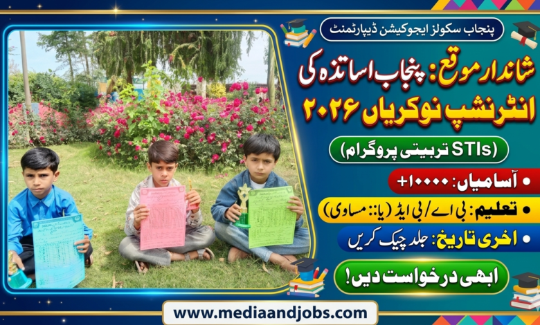 Punjab (STIs) Teacher Internship April 2026