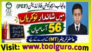 PEF Jobs 2026 – Punjab Education Foundation MEO Jobs Apply Online