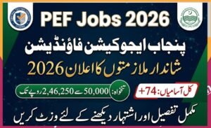 PEF Jobs 2026 – Punjab Education Foundation Jobs Apply Online