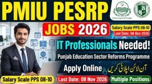 PMIU PESRP Jobs 2026 - Apply Online for IT Professionals in Punjab